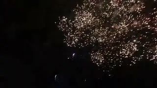 🤫🐍 Sneak Attack 🐍🤫 260 Shot Firework