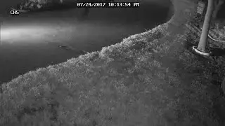 Deputies investigate trend of boat thefts in Polk County