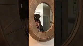 Lou sees himself for the first time
