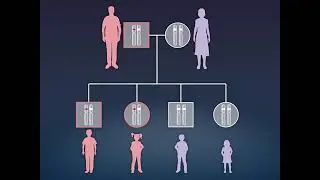 CRISPR-Cas9 Gene Editing for Sickle Cell Disease and &beta;-Thalassemia CTX001 on NEJM