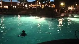 Phoenix swimming in CA
