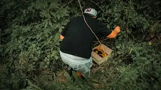 Mama mit 5 Welpen gerettet