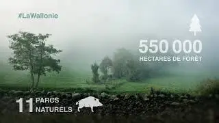 Pr&eacute;sentation g&eacute;n&eacute;rale de la Wallonie