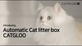 CATGLOO; Автоматический кошачий туалет