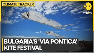 Kite festival on black sea coast follows path of migratory birds | WION Climate Tracker
