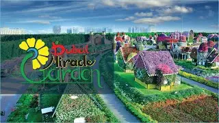 [4K] Dubai Miracle Garden #2021