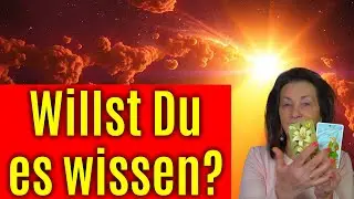 🤔Was denkt er über dich? 🔍Karten decken auf🔎