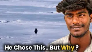 Why Did This Penguin Walk to the Mountains? 😭🐧 | Viral Penguin Meme Explained Tamil 