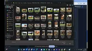 Cara Posting Pemilik Muatan untuk Listing Muatannya di Bursa Muatan