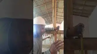 dica sobre altura de mesa de refeitório