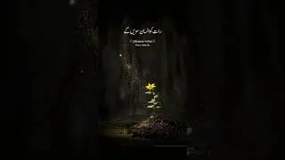 uslamic status||Hamza-writes||shorts