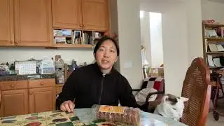 Snack Review 10: yak gwa (Korean honey pastry) from Hannam Chain