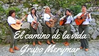 EL CAMINO DE LA VIDA (COVER) - GRUPO MERYMAR