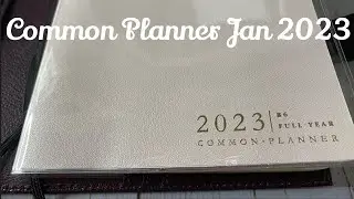 My Sterling Ink Common Planner setup for January