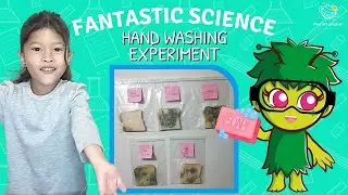 Hand Washing Science Experiment | Kids Science