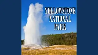 Morning Geyser