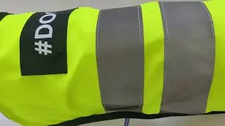 High Visibility Dog Vest for Safety at Night