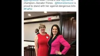 FL Senator Flores Pledges to Fight Against Gun Rights
