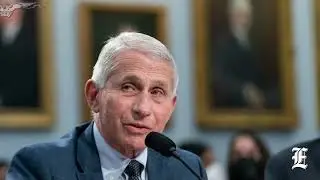 Fauci hiding truth on US lab research funding ahead of pandemic, scientist says