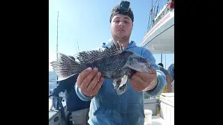 Laura lee Express Black Sea Bass SLAM (Captree NY)