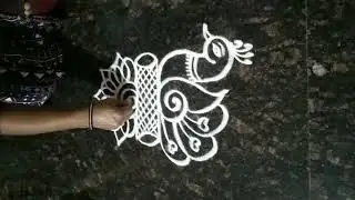 🦚