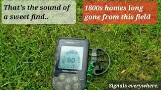 Metal detecting old homesites for big silver and relics..mission accomplished!