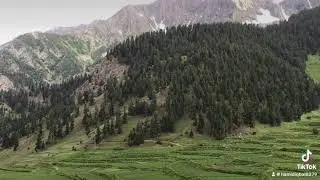 #hunza #world #shortsfeed #viral #vlog #naltar￼￼#nature #greenscreen #quran #hunza #waterfall #fresh