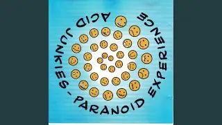 Theme From The Acid Junkies