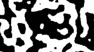 Ising Model in 2D