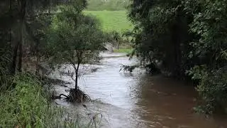 March Rain