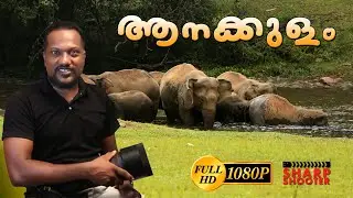ELEPHANT POND IN KERALA