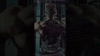 Regular 100% Mass Gainer | 26inches Nutrition
