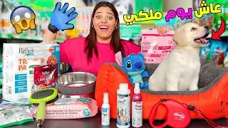 اخيرا..خلينا الكلب الجديد 