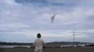 Silver Fox 2.5 UL at Clover Point (stunt kite)