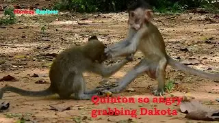Aha, Adorable baby Quinton getting angry grabbing & fighting baby Dakota protecting food eating.