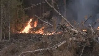 UPDATE: Munger Shaw fire containment up to 95%