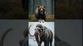 matchup animals who is the winner #mastermatchup