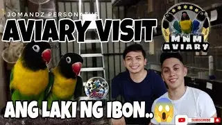 AVIARY VISIT TO MNM AVIARY | NEW PURE GREEN PERSONATA