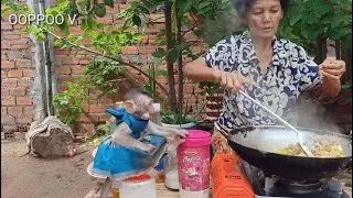 Baby Monkey Janny watching Grandma Cooking Food / Janny  May Want to Eat