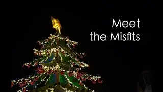 Meet the Misfits
