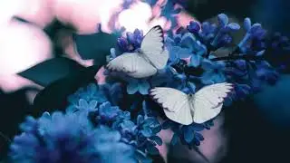 half alive - creature but without the part at the end