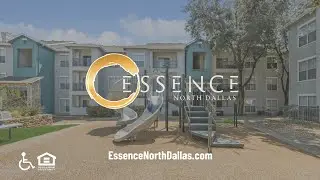 Essence North Dallas Apartments | Dallas, TX | Bridge Property Management