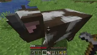 Erstes mal Hardcore
