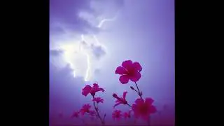 І все ж ти взяв мою руку