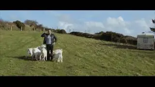 The VoIP People - Say Hello To Freedom