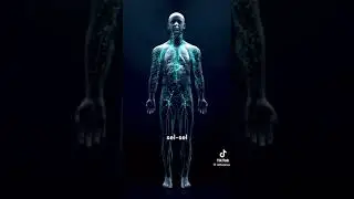Nutrien yang penting utk imun sistem yg sihat