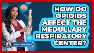 How Do Opioids Affect The Medullary Respiratory Center?