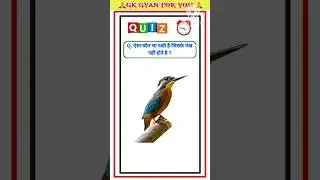 Q. ऐसा कौन सा पक्षी है जिसके पंख नहीं होते है ? #motivation #uppulice #constable #realway #up
