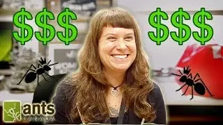 How Much Money Does an Ant Scientist Make? (ft. Dr. Corrie Moreau)