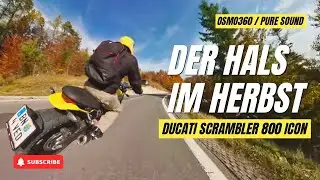 Ducati Scrambler 800 Icon | Riding &ldquo;Hals&rdquo; Pass | Pure RAW Sound | 4K 50FPS
